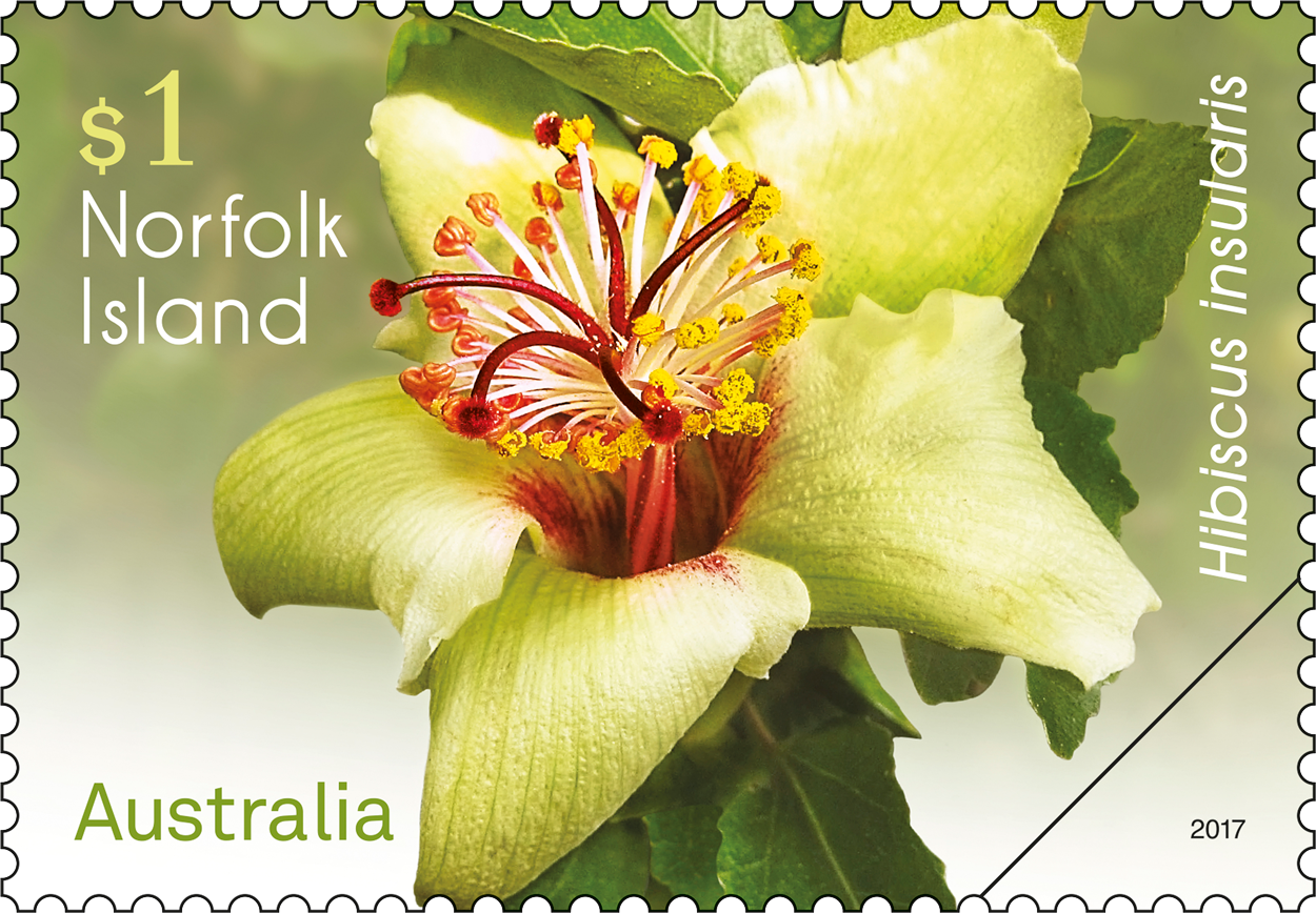 Norfolk Island Flowers Hibiscus insularis stamp $1 Hibiscus insularis
