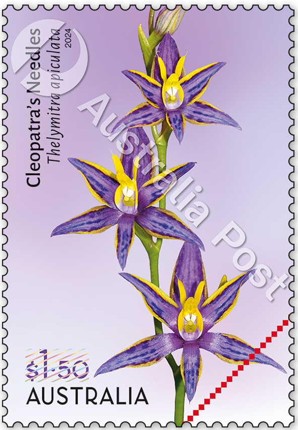 2024_Cobb_Co_stamp_02_400_WM