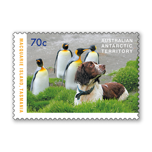 The Dogs that Saved Macquarie Island