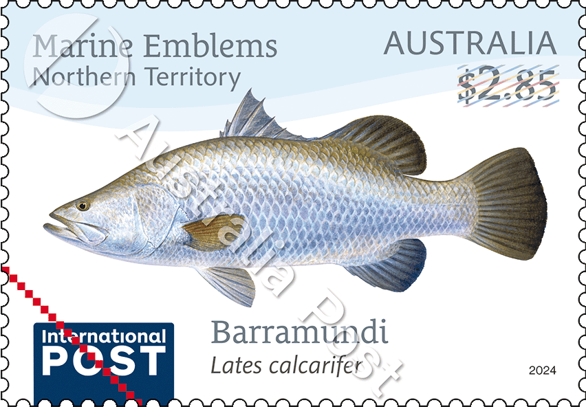 Northern Territory – Barramundi Lates calcarifer