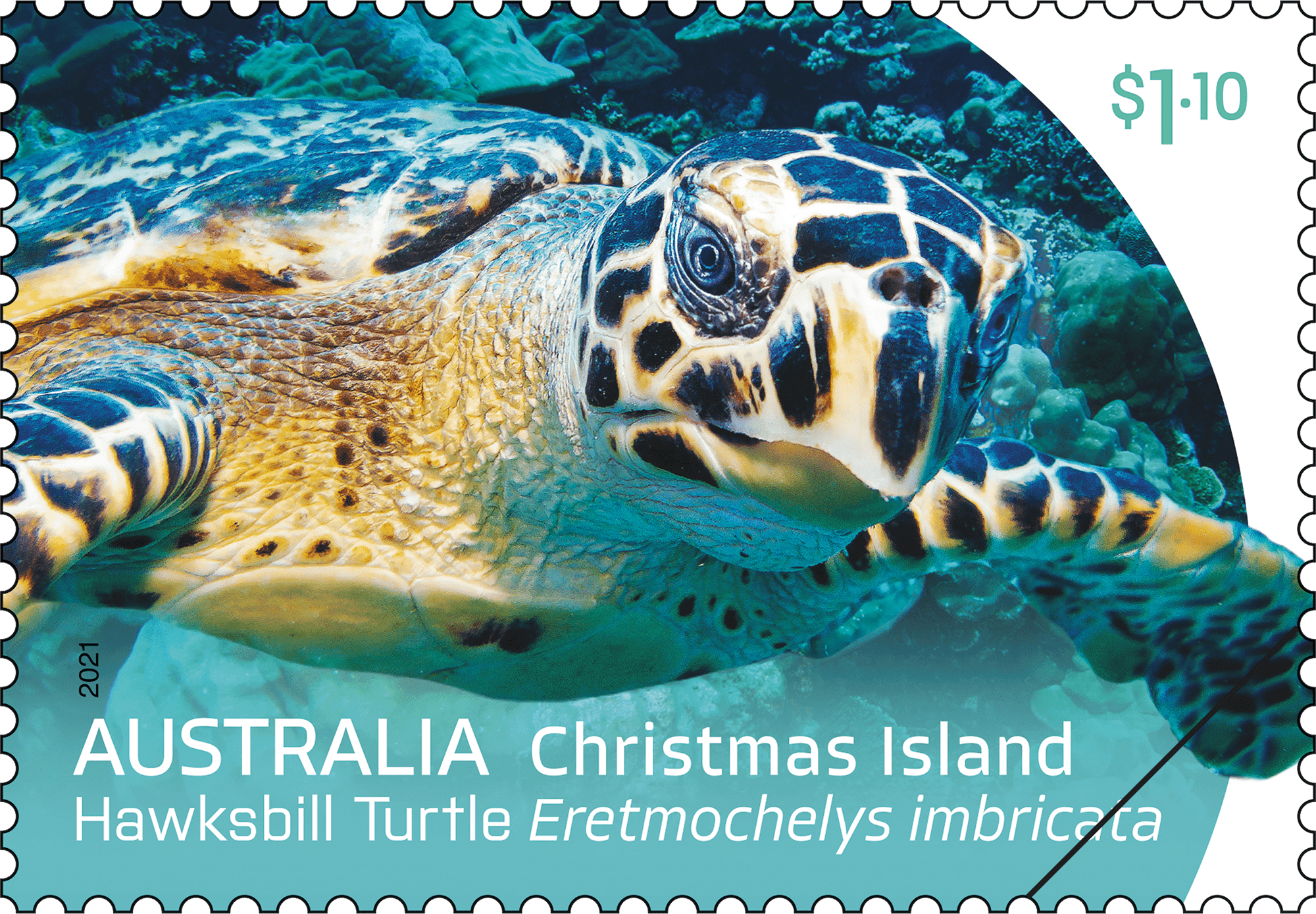 CI_turtles_stamp_01_400 Christmas Island Turtles