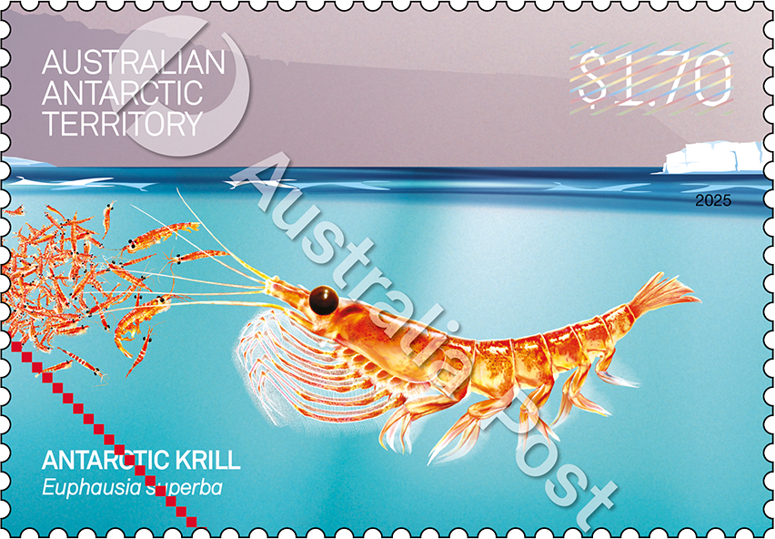 krill_AAT_Stamp_02_170_400_NoNet_WM