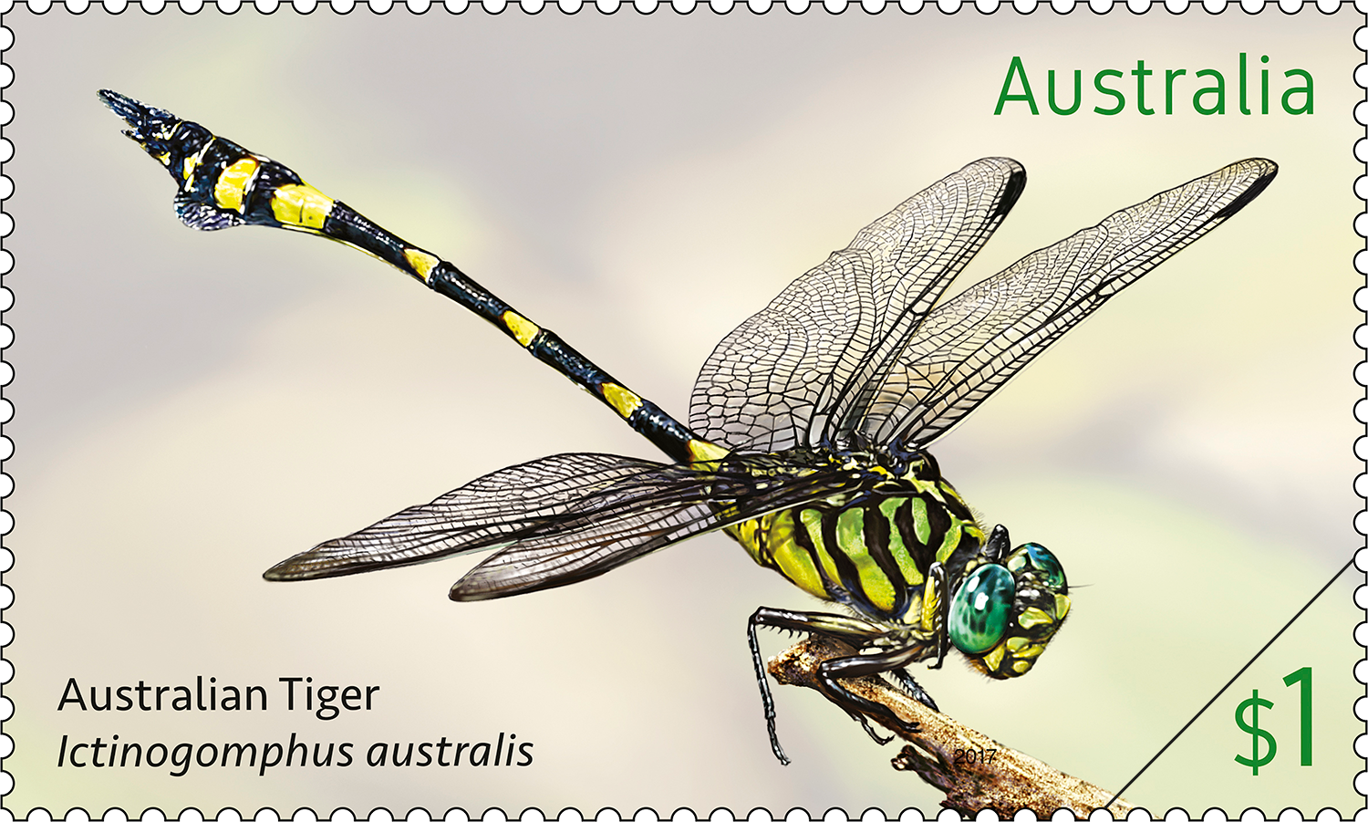 Australian Tiger stamp from Dragonflies stamp issue $1 Jewel Flutterer, Rhyothemis resplendens