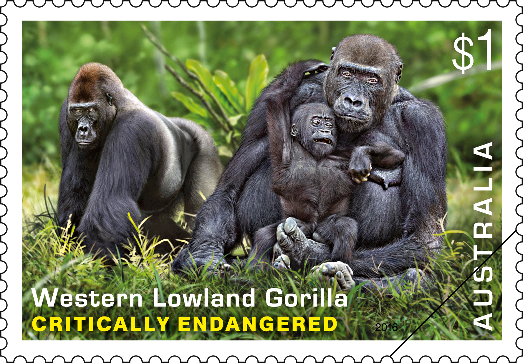 Endangered Wildlife