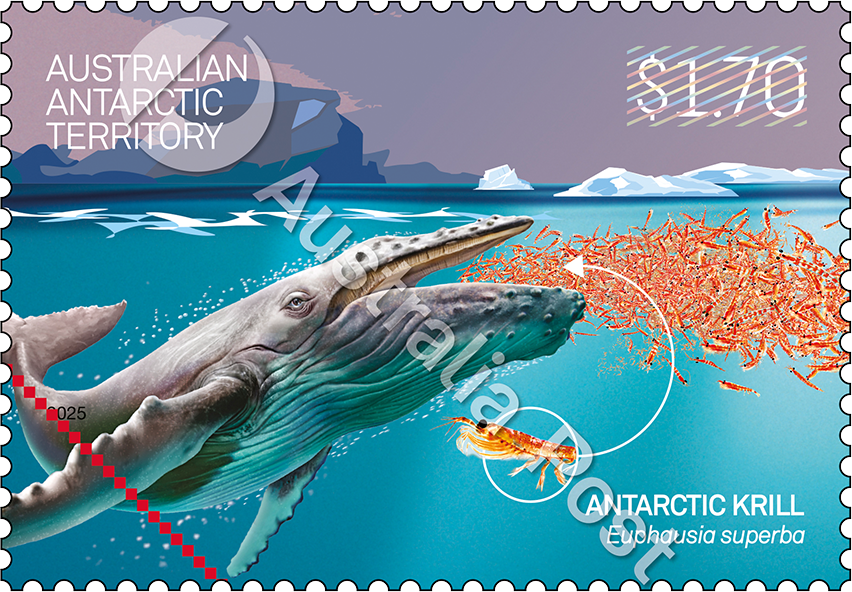 krill_AAT_Stamp_02_170_400_NoNet_WM