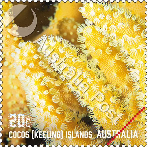 2024_Cobb_Co_stamp_02_400_WM