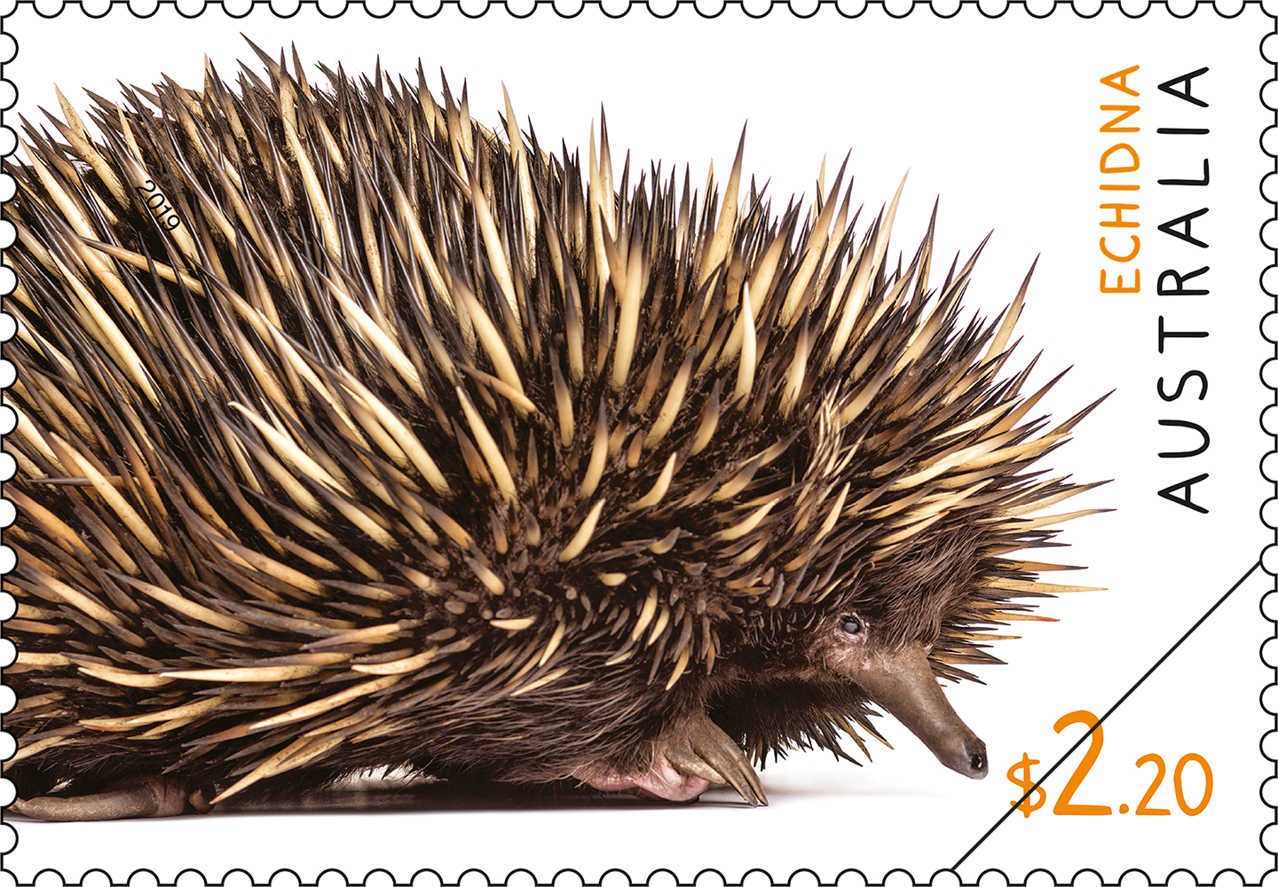 Native_Fauna_SugarGlider_stamp_400 $2.20 - Echidna