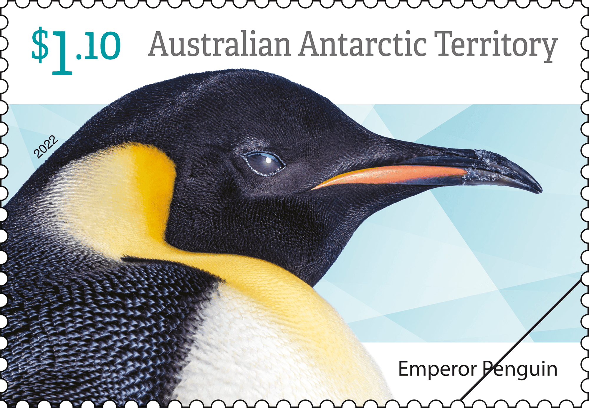 AAT_Penguins_1_400 Australian Antarctic Territory Penguins