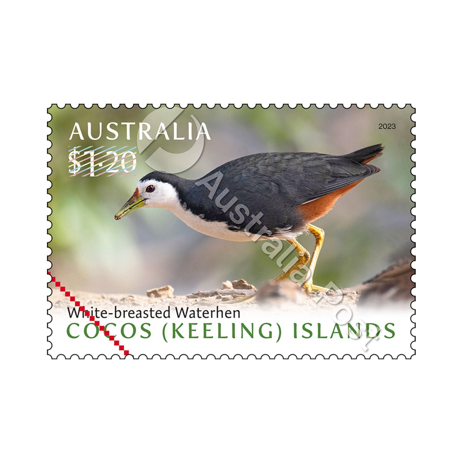 $1.20 Adult foraging