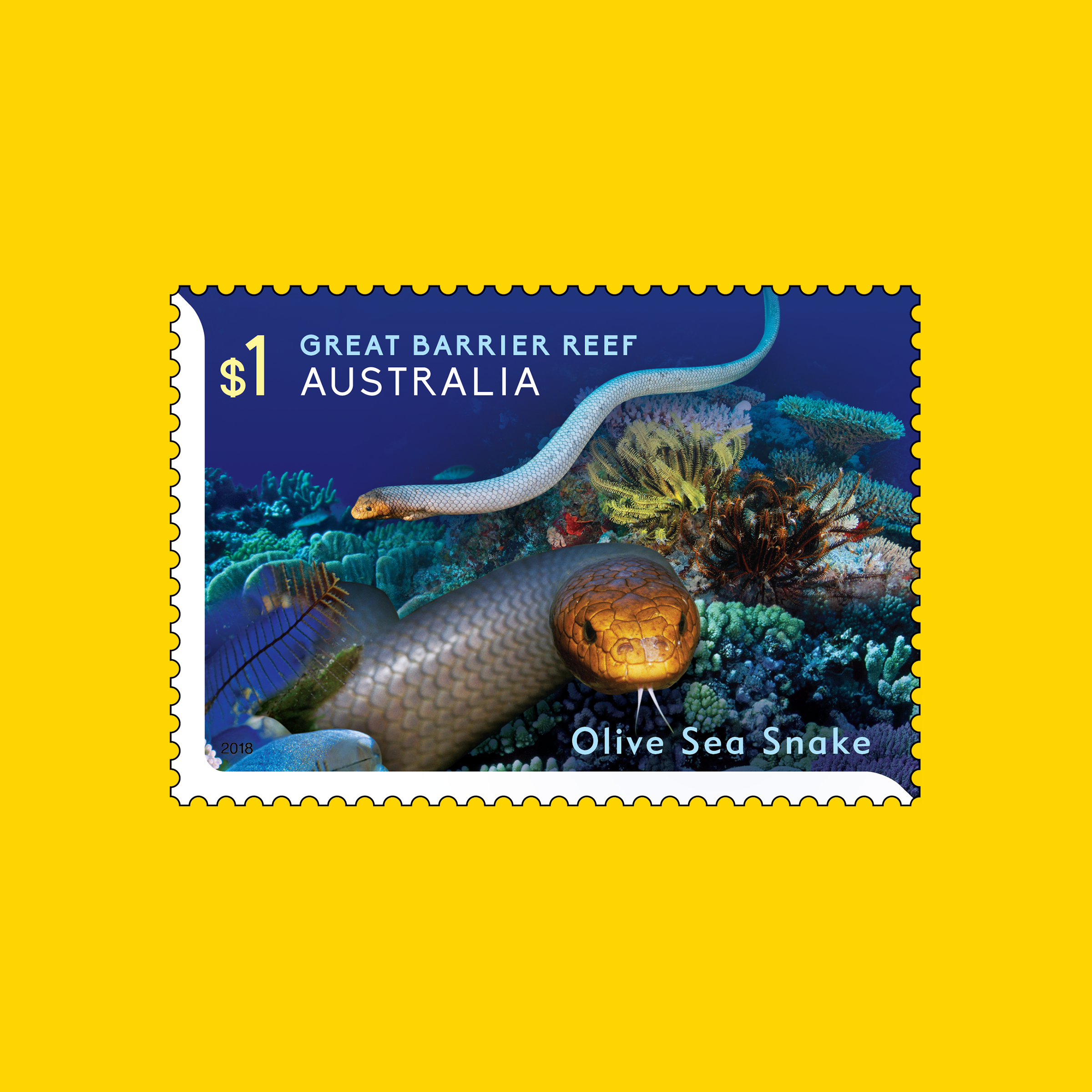 Olive Sea Snake