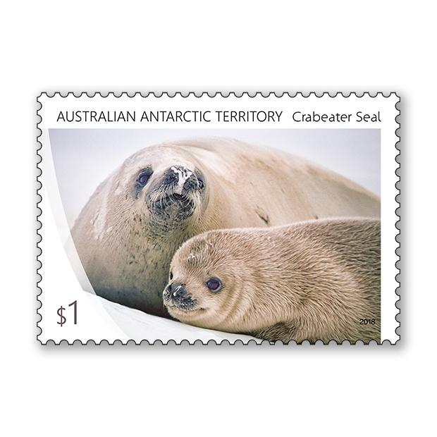 AAT: Crabeater Seal