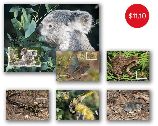 Set of Wildlife Recovery maxicards