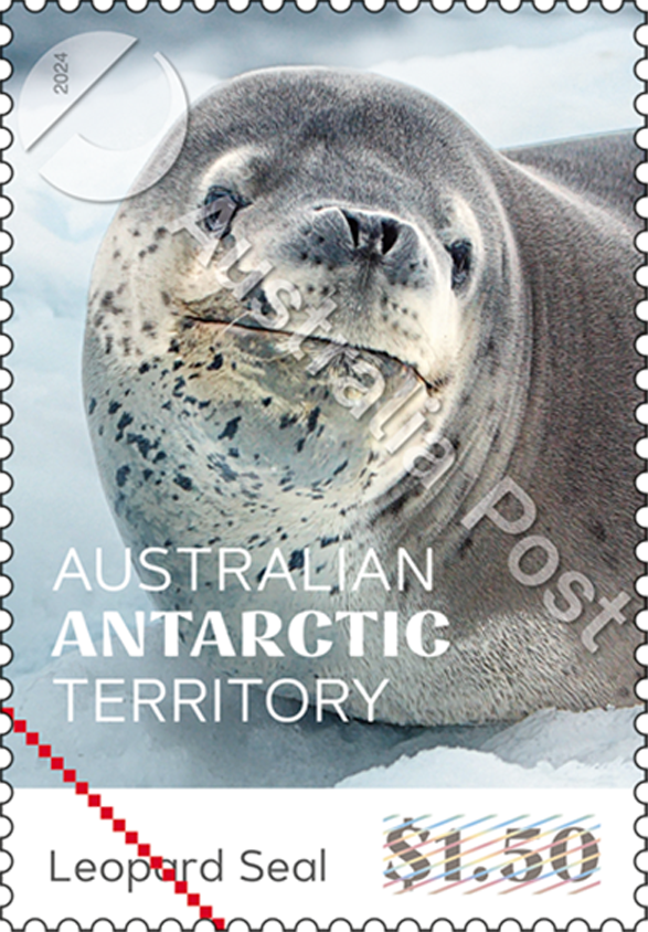 $1.50 – Leopard Seal Hydrurga leptonyx