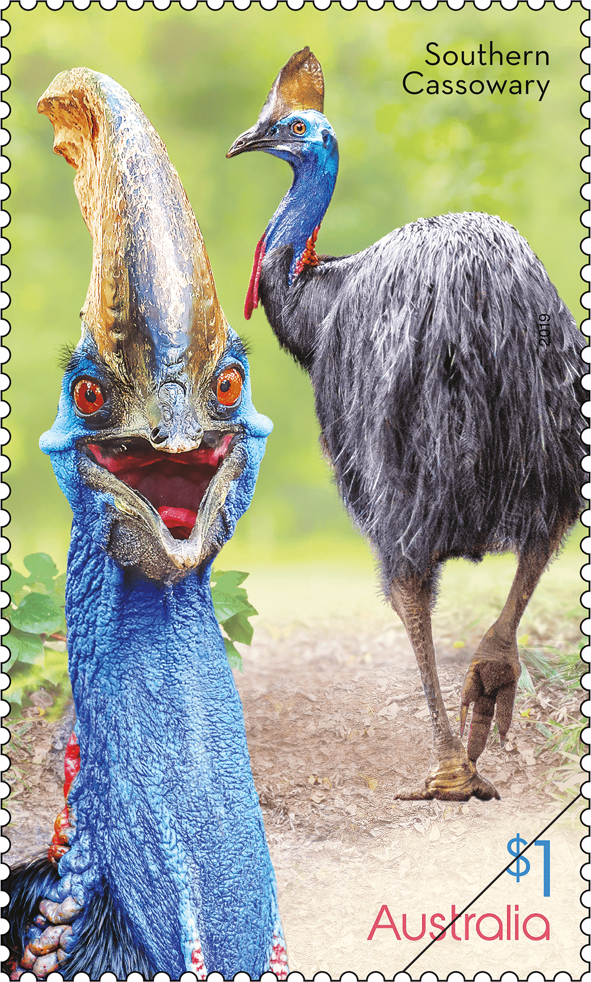 Flightless Birds Southern Cassowary stamp Flightless Birds