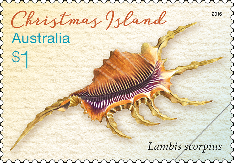 $1 Lambis scorpius stamp