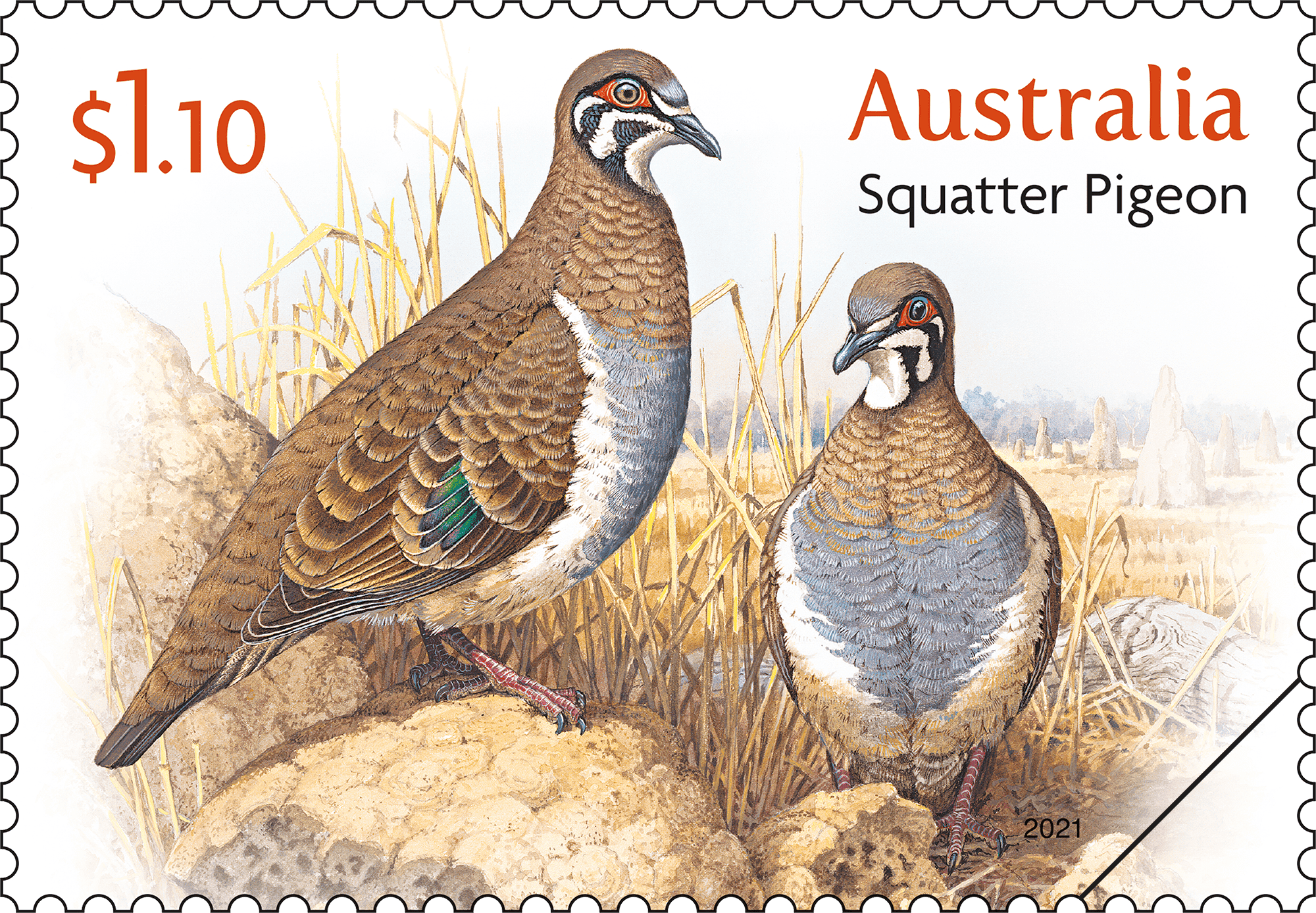Doves_Pigeons_Stamp_01_400 $1.10 Squatter Pigeon