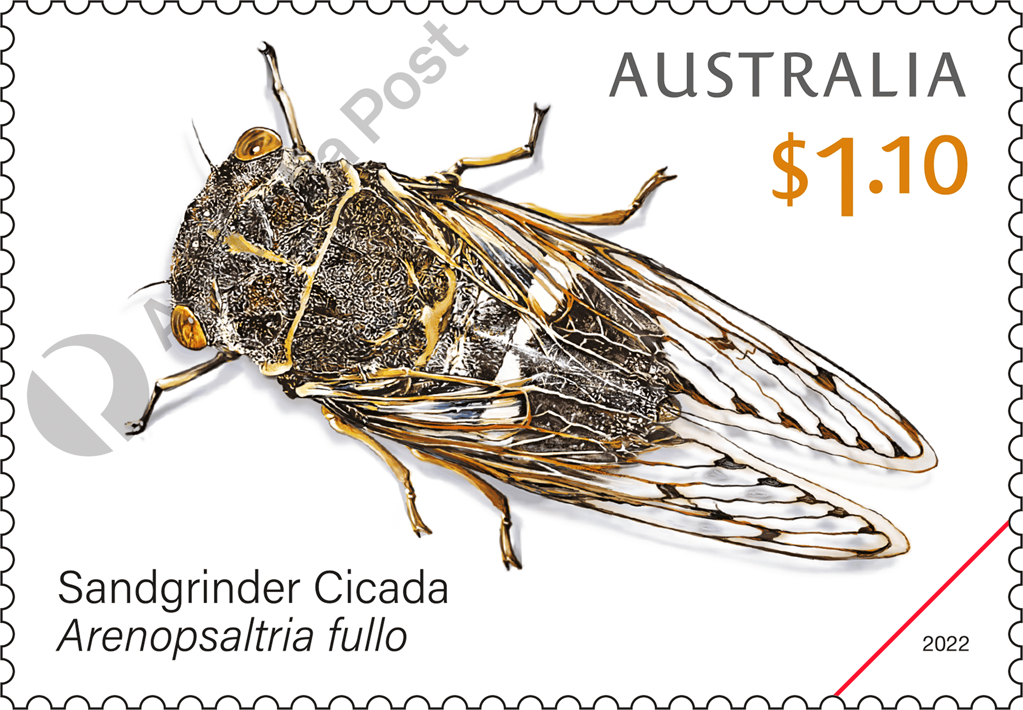 2022_Cicadas stamps_03_400