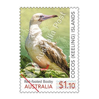 Cocos (Keeling) Islands: Booby Birds