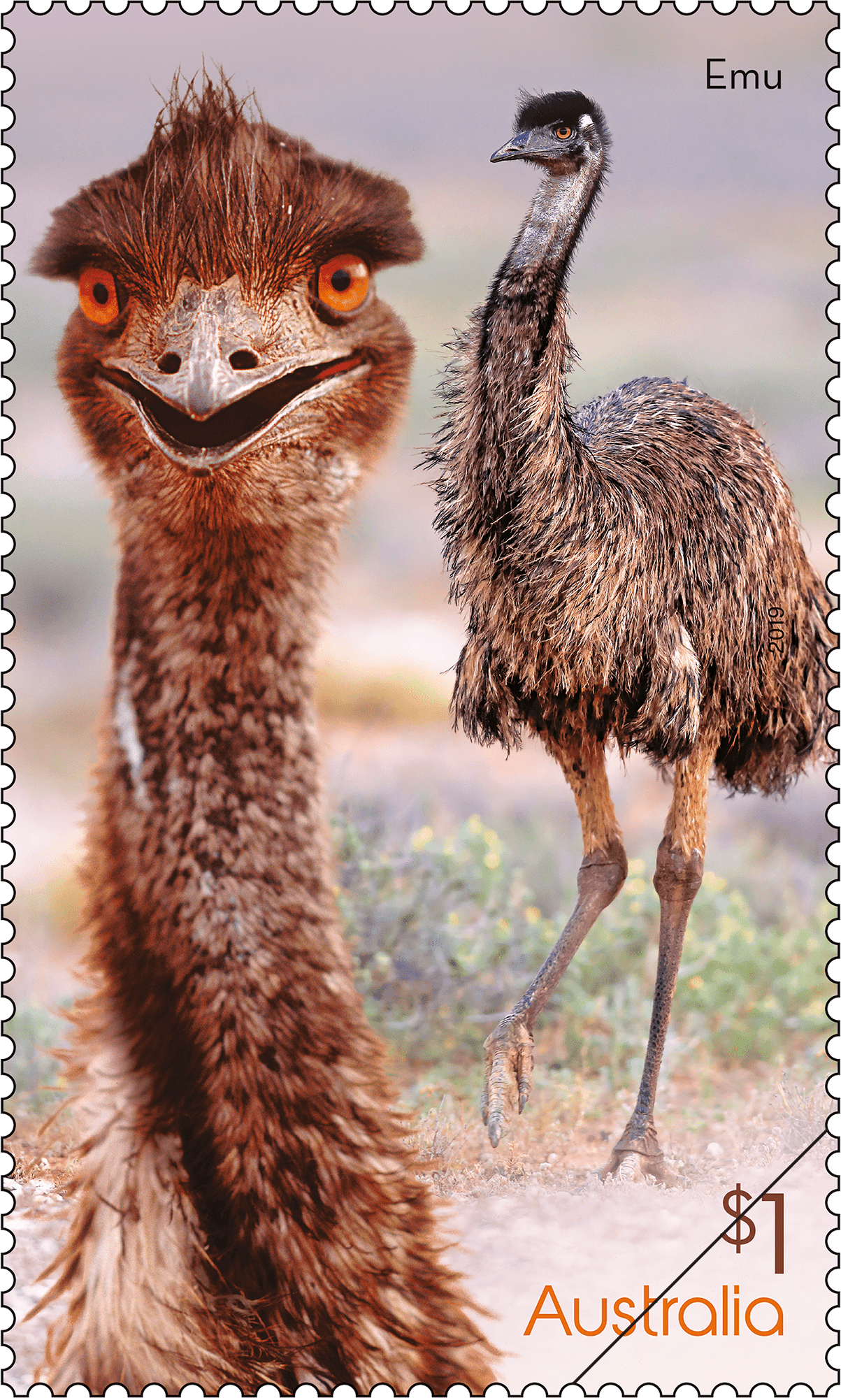 Flightless Birds Emu stamp $1 - Emu (Dromaius novaehollandiae)