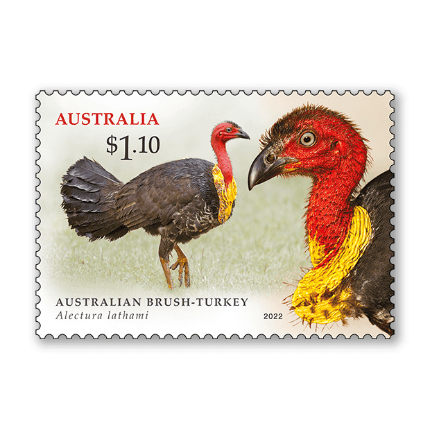 Megapodes of Australia Megapodes of Australia
