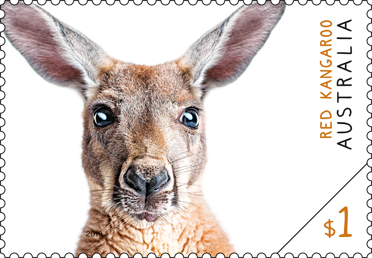 Australian Fauna Red Kangaroo stamp $1 Red Kangaroo