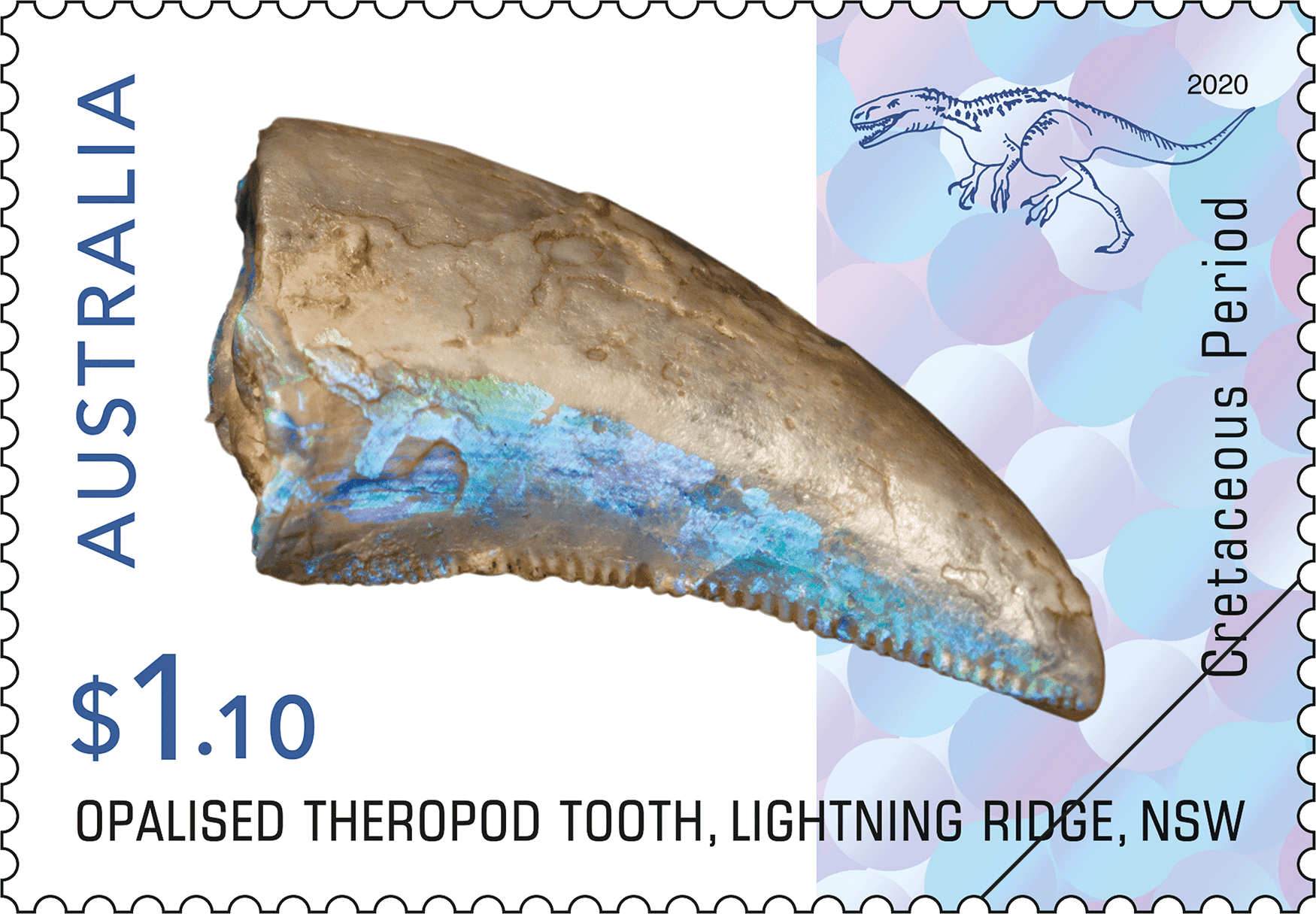 $1.10 Opalised theropod tooth $1.10 Opalised theropod tooth, Lightning Ridge, NSW