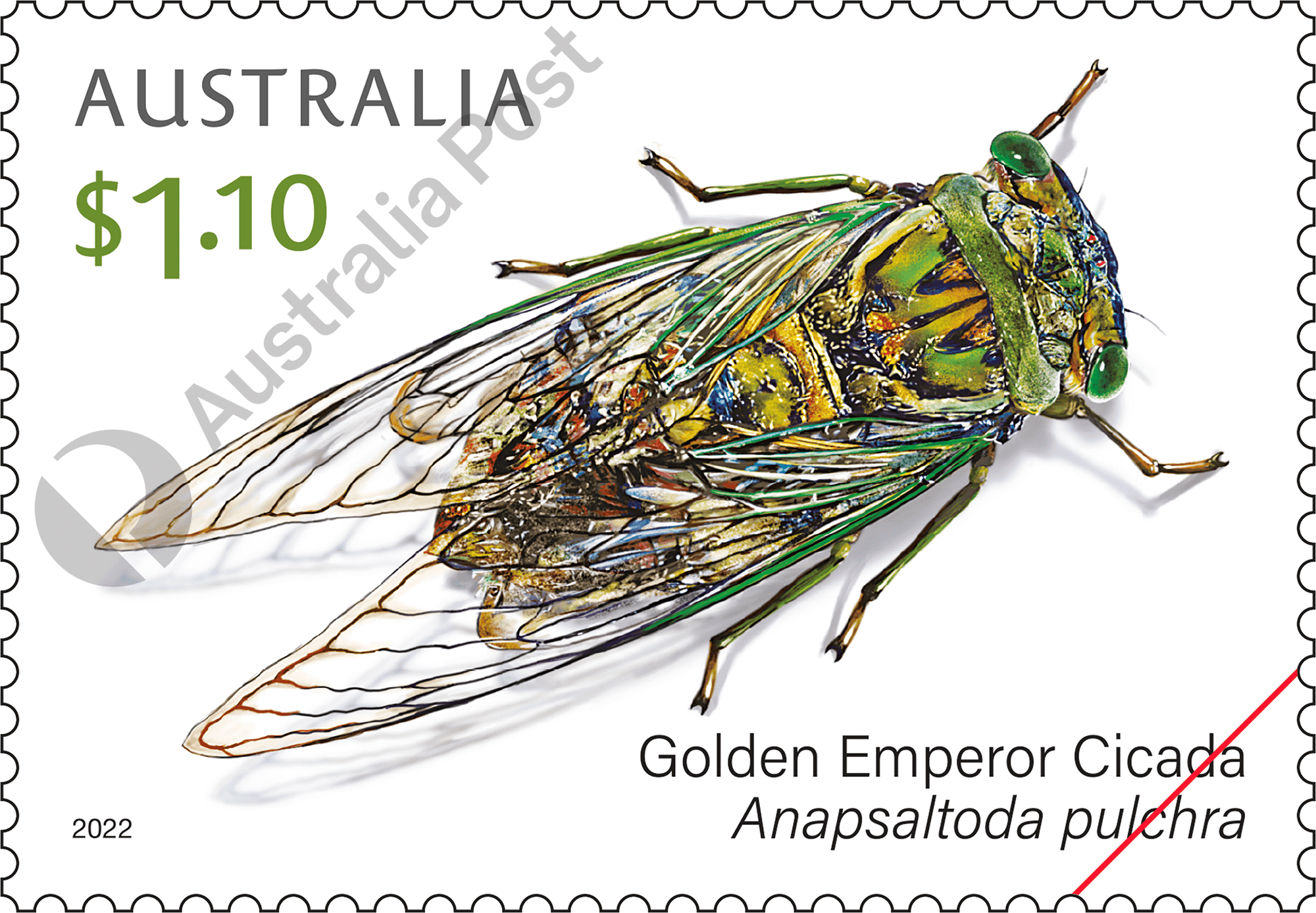 2022_Cicadas stamps_03_400