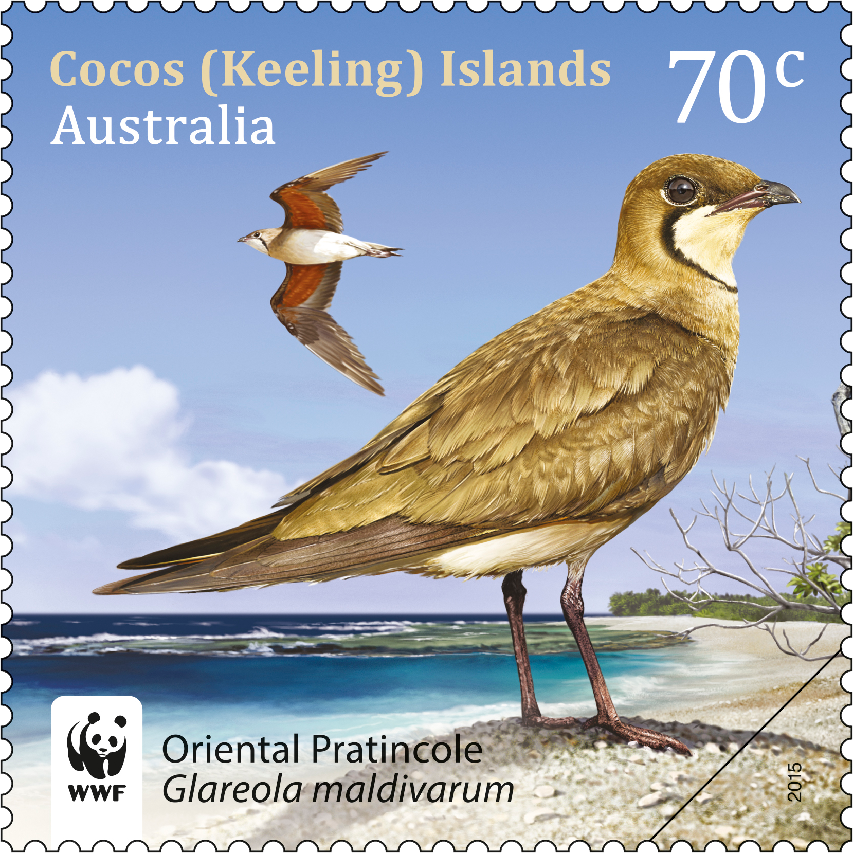 CKI_Birds_Albatross_Stamp_400