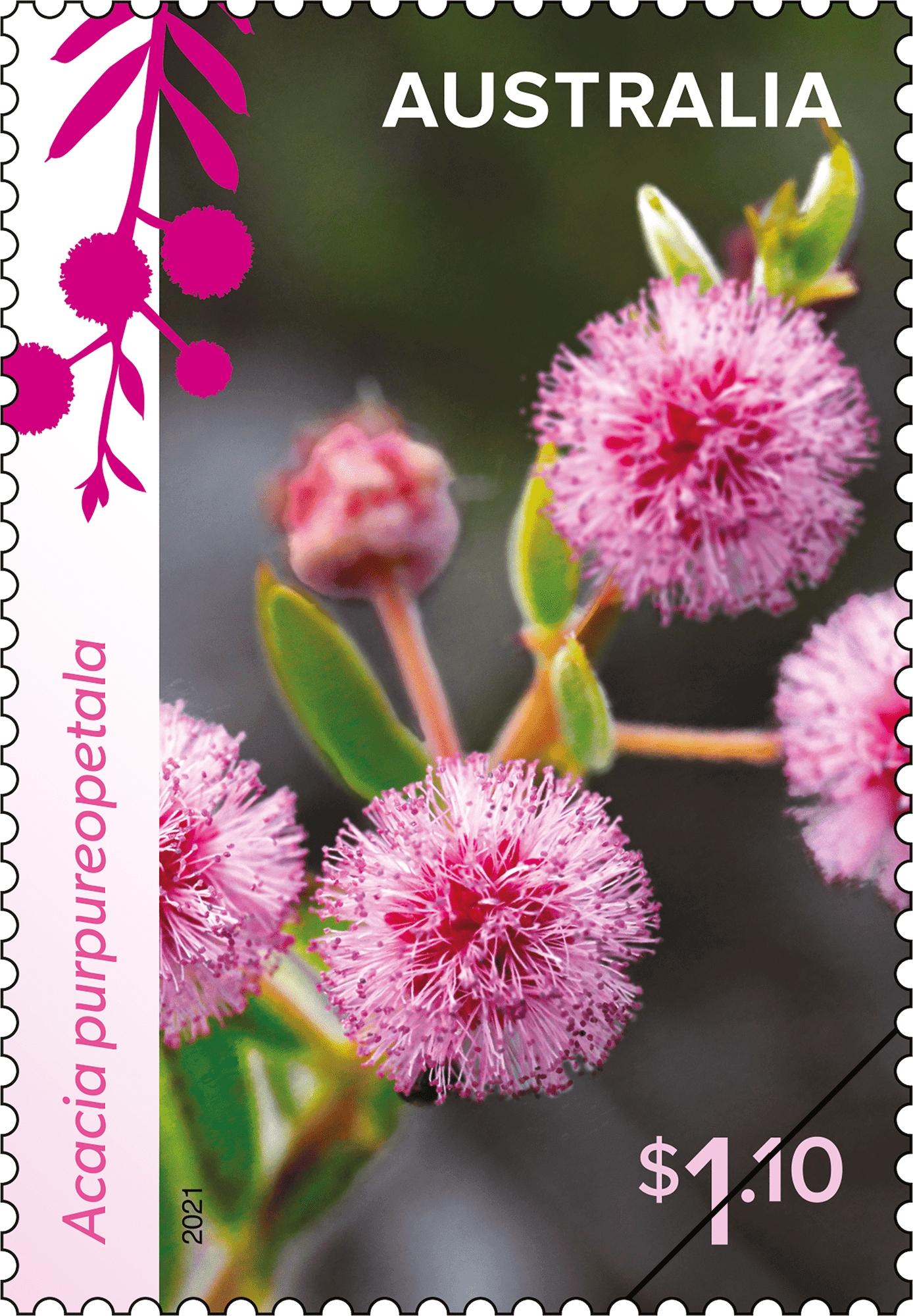 WW_WHITE_Stamp_03_400 Wattle Wonders
