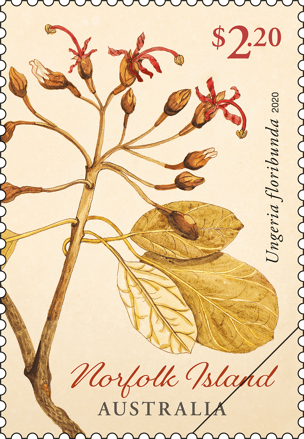 $2.20 - Ungeria floribunda 60c Royal Christening 2013