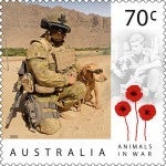 70c Dogs