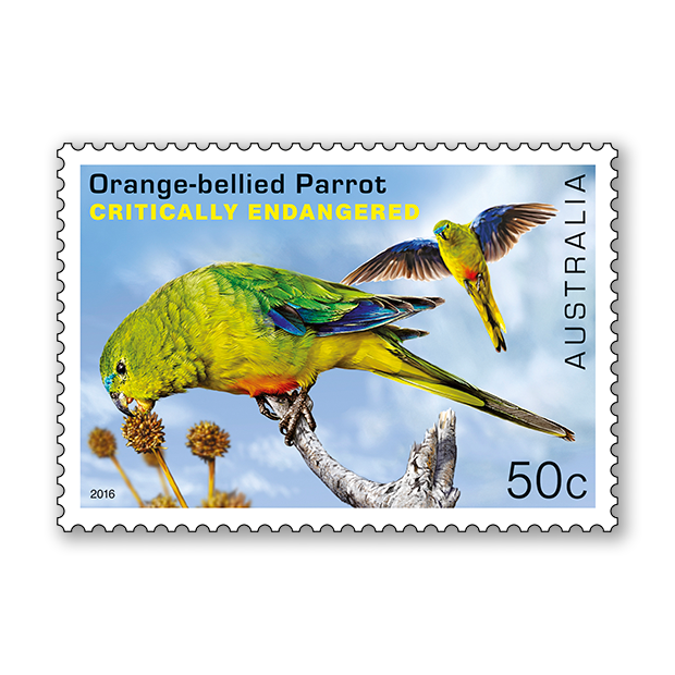 Endangered Wildlife: SCM 2016