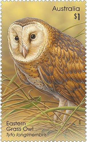 $1 Eastern Grass Owl (Tyto longimembris)