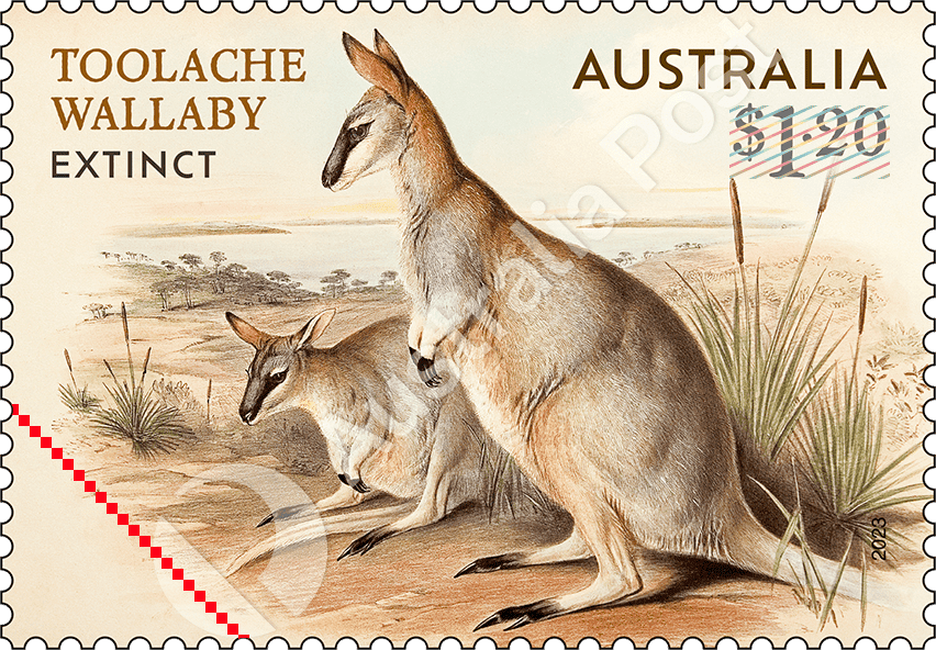 2023_Extinct_Mammals_Stamp_03_400 $1.20 Toolache Wallaby