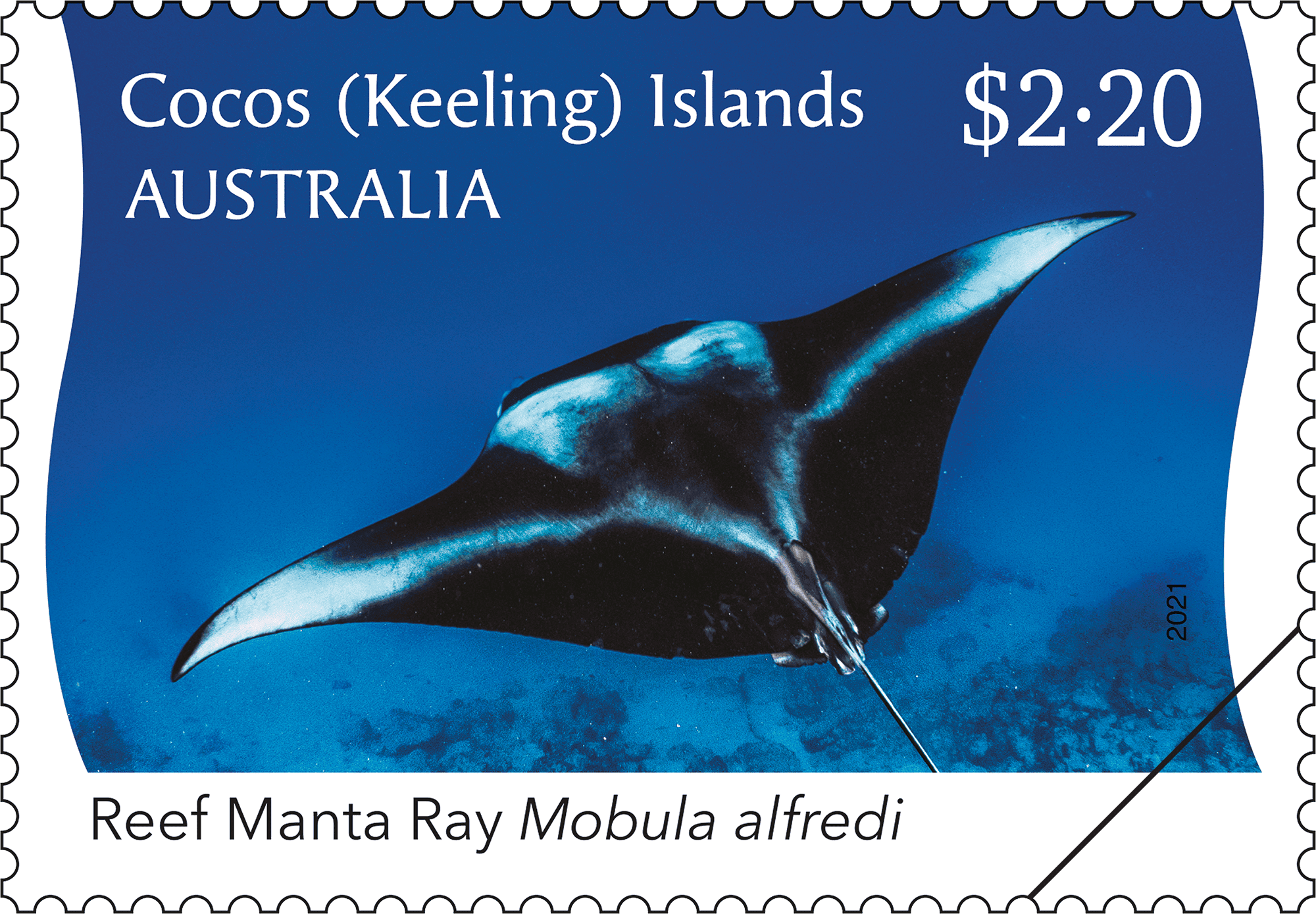 CKI Manta Ray stamp_01_400 $2.20 Reef Manta Ray – black-and-white dorsal view