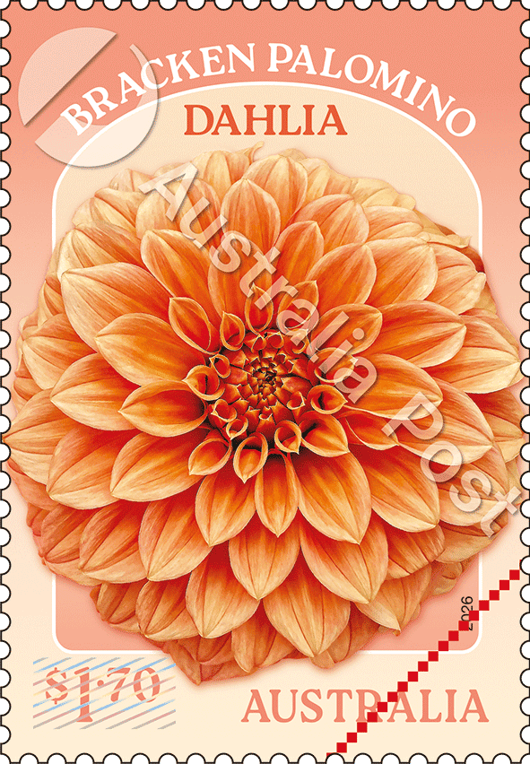 $1.70 Bracken Palomino Dahlia