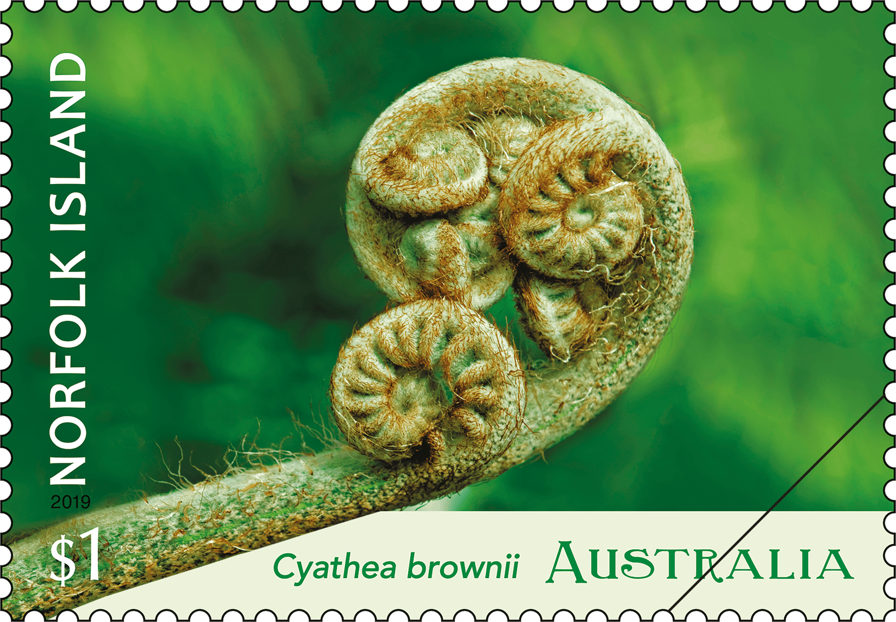 Norfolk Island Tree Fern $1 stamp