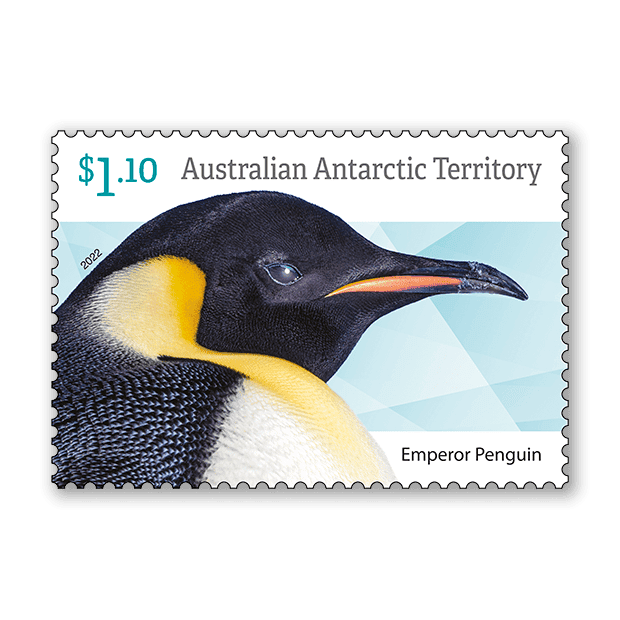 AAT Penguins