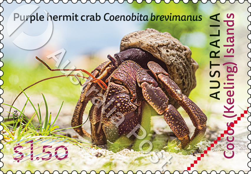2024_CKI_Crabs_Stamp_03_400_WM