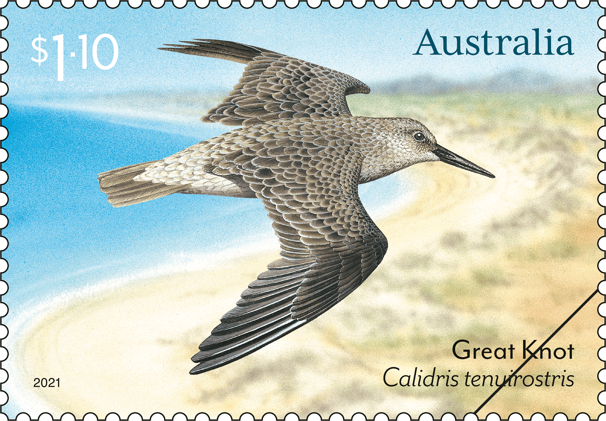 Eastern_Curlew_Stamp_400 Migratory Shorebirds