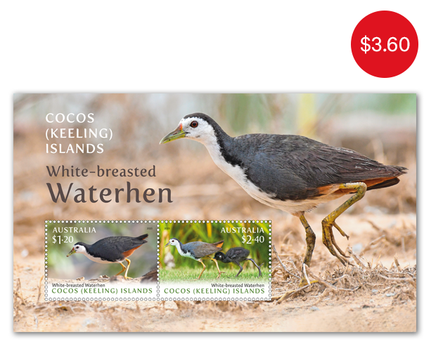 Cocos (Keeling) Islands: White-breasted Waterhen Minisheet
