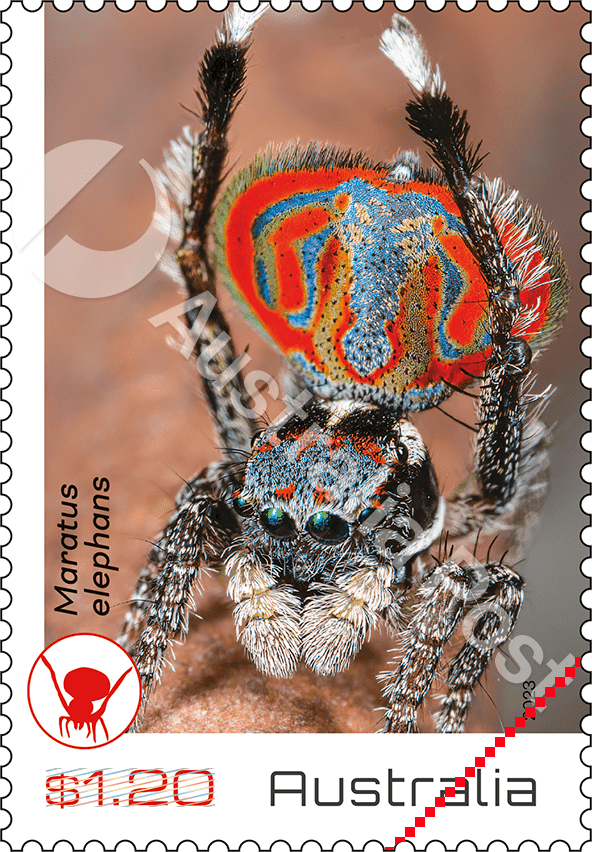 2023_Peacock_stamp_03_400 $1.20 Maratus elephans
