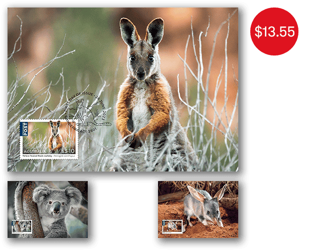 Native Animals 2023 maxicard set