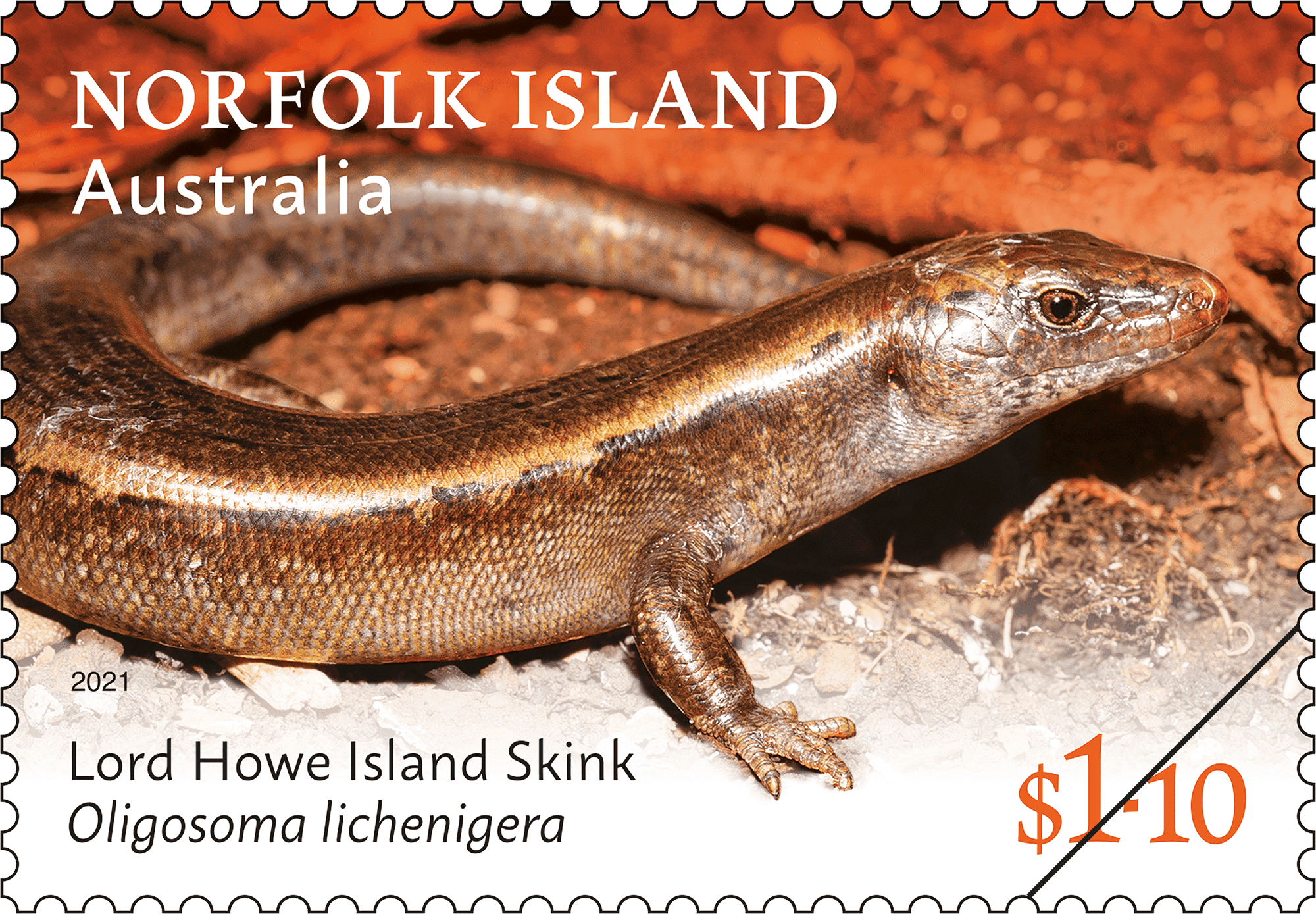 NI_Lizards_Stamp_01_400