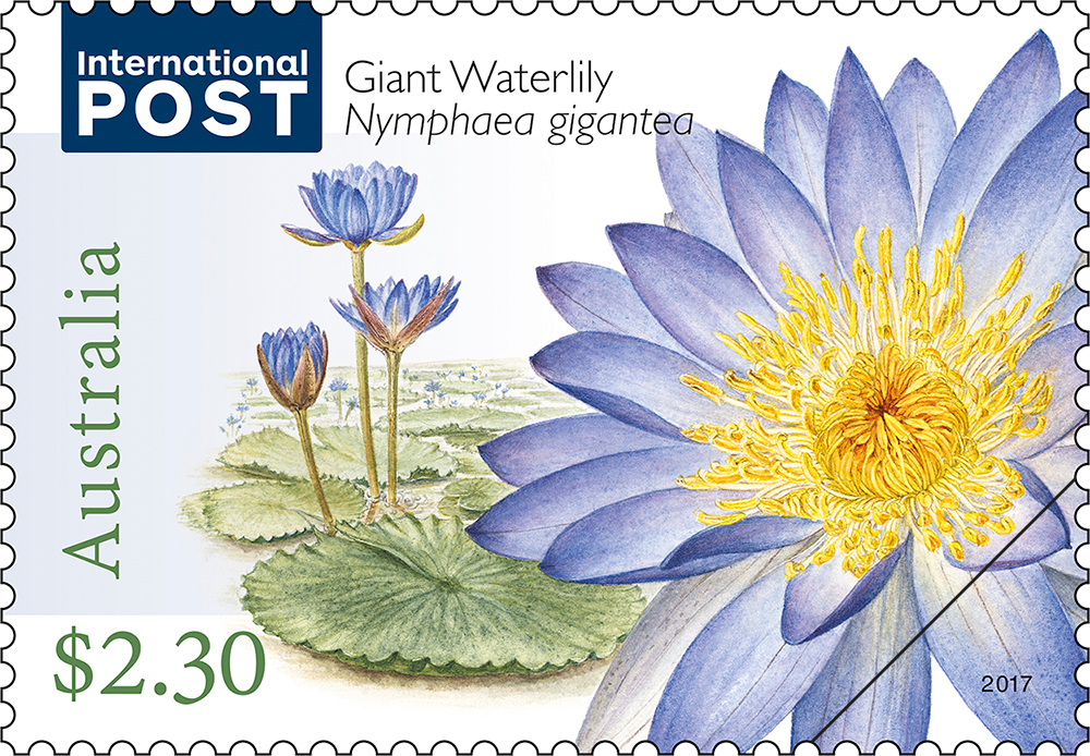 Water Plants $2.30 Giant Waterlily stamp $2.30 Giant Waterlily (Nymphaea gigantea) stamp