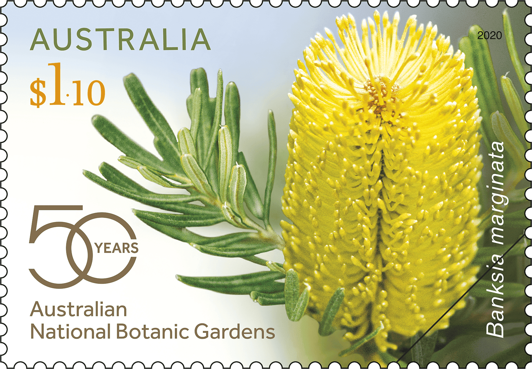 Australian National Botanic Gardens: 50 Years