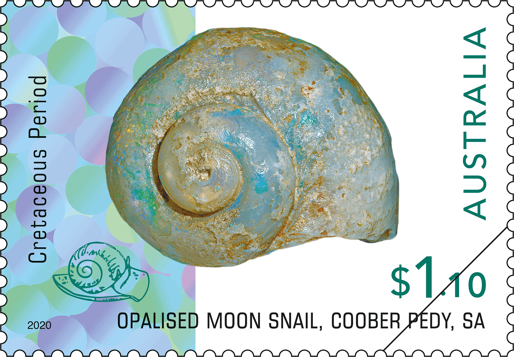 $1.10 Opalised moon snail $1.10 Opalised moon snail, Coober Pedy, SA