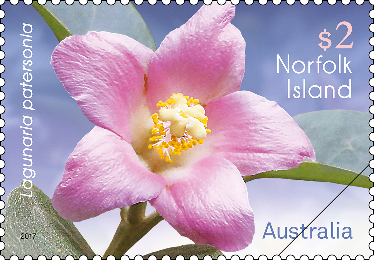 Norfolk Island Flowers Lagunaria patersonia stamp Norfolk Island Flowers