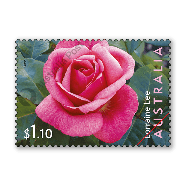 Australian-bred Roses