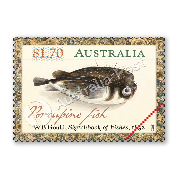 $1.70 WB Gould’s Sketchbook of Fishes: Porcupine fish